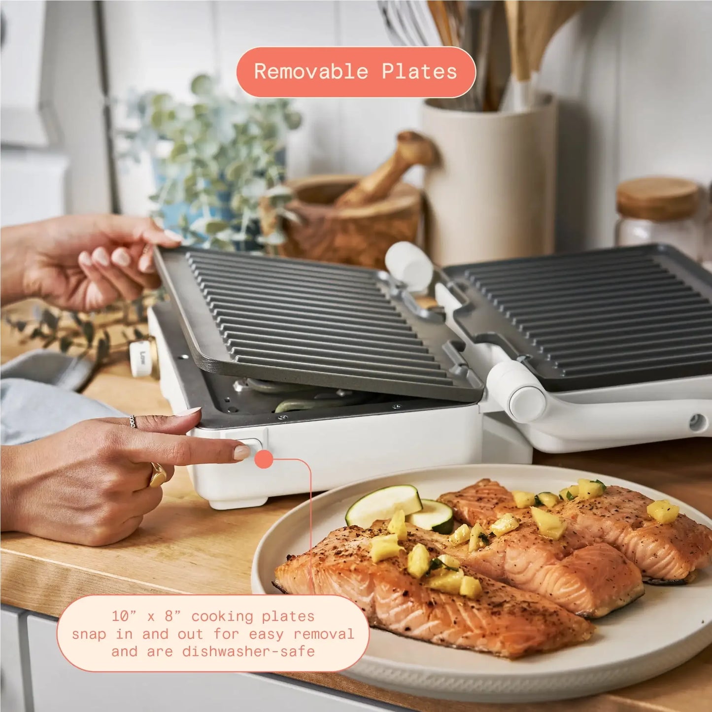2-in-1 Panini Press & Grill, White